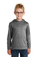 Load image into Gallery viewer, Fleece Hooded Sweatshirt (Youth &amp; Adult) / Heather Charcoal / NESI